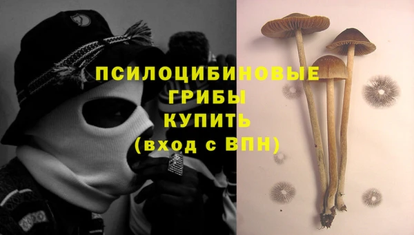 мет Гусев