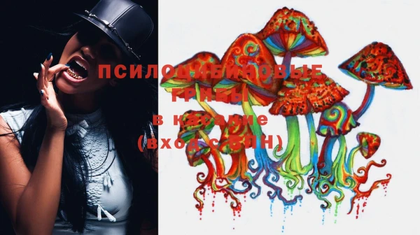 первитин Гусиноозёрск