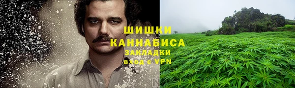 мет Гусев
