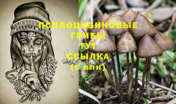 первитин Гусиноозёрск